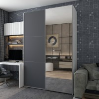 Шафа-купе двохдверна Doros G-Caiser 160х60х240 см Білий/Графіт/Дзеркало 