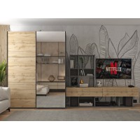 Шафа-купе двохдверна Doros G-Caiser 160х60х240 см Графіт/Дуб евок/1 Дзеркало 