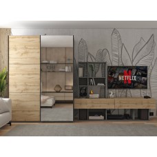 Шафа-купе двохдверна Doros G-Caiser 160х60х240 см Графіт/Дуб евок/1 Дзеркало 