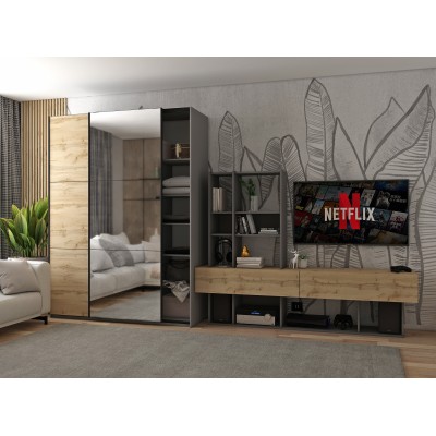 Шафа-купе двохдверна Doros G-Caiser 160х60х240 см Графіт/Дуб евок/1 Дзеркало 