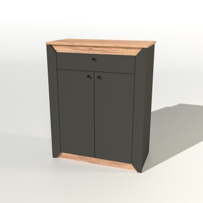 Тумба закритая Эверест Нордик-800 80х38х100 см Графит/Дуб крафт золотой 