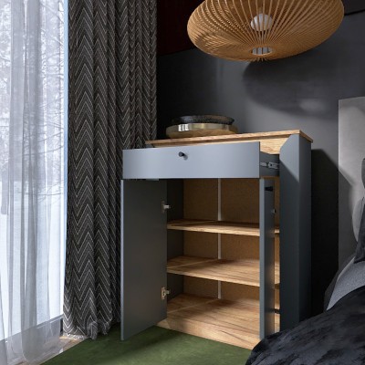 Тумба закритая Эверест Нордик-800 80х38х100 см Графит/Дуб крафт золотой 