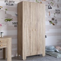 Шкаф распашной двухдверный в детскую комнату 900х450х1900 LION Инди Дуб сонома трюфель (LION-041581)
